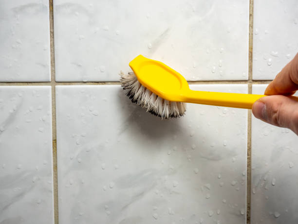 Best Mold Removal Process  in Four Cners, OR