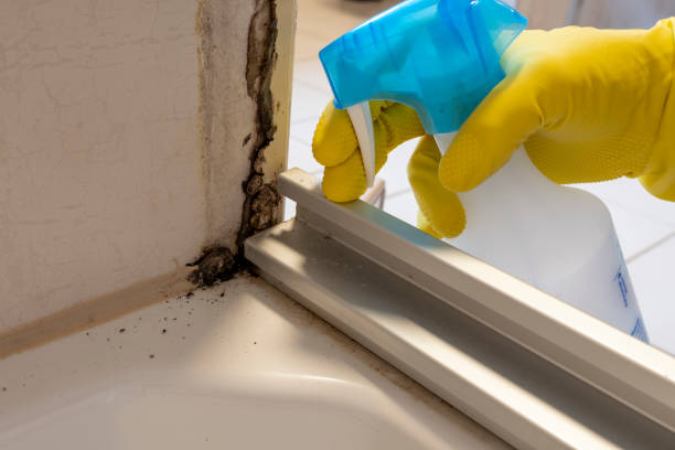 Best Certified Mold Removal  in Four Cners, OR